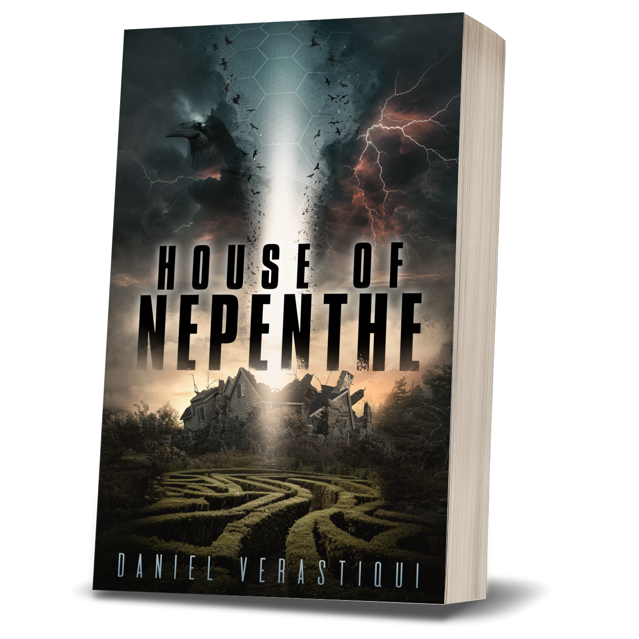 House of Nepenthe (2025)