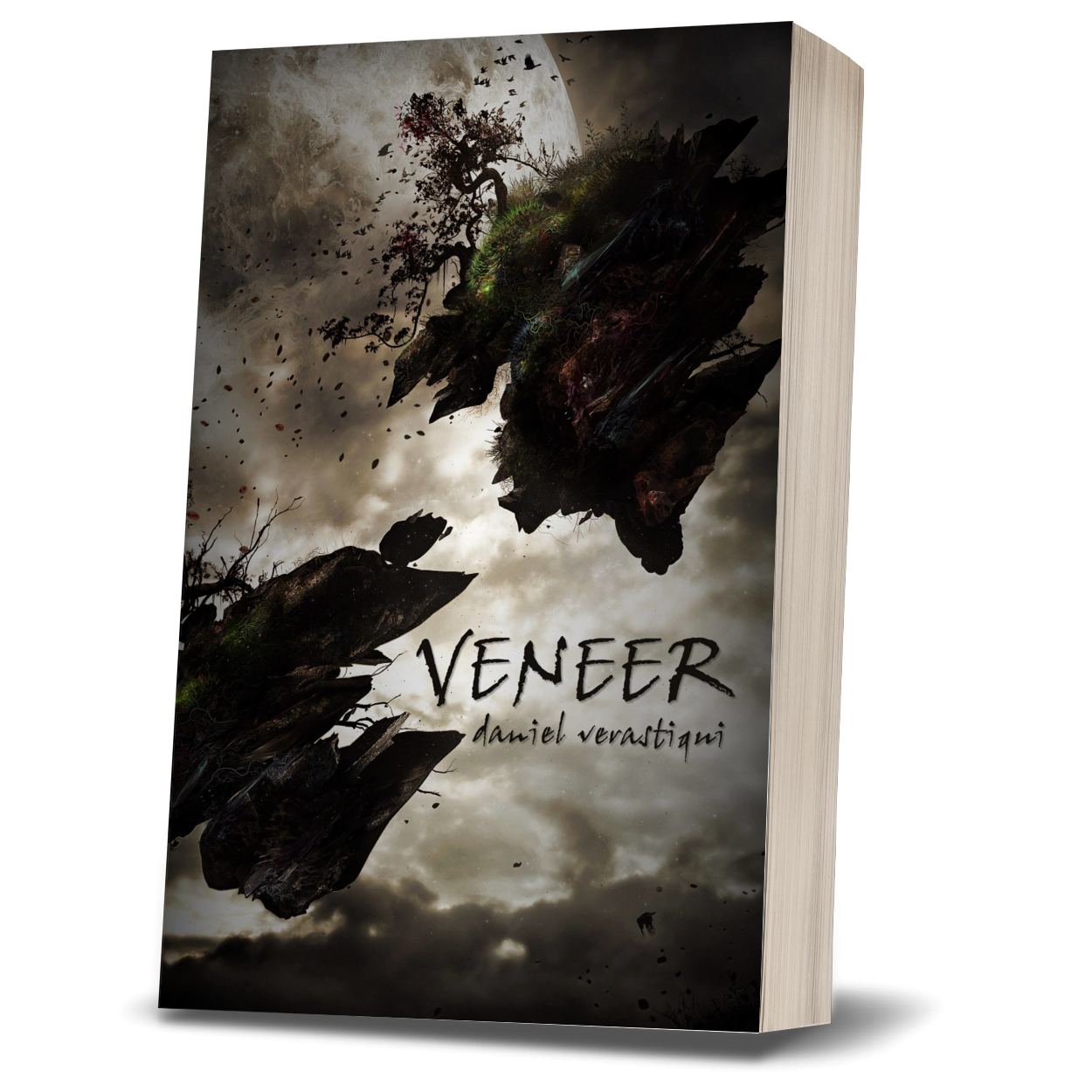 Veneer (2011)