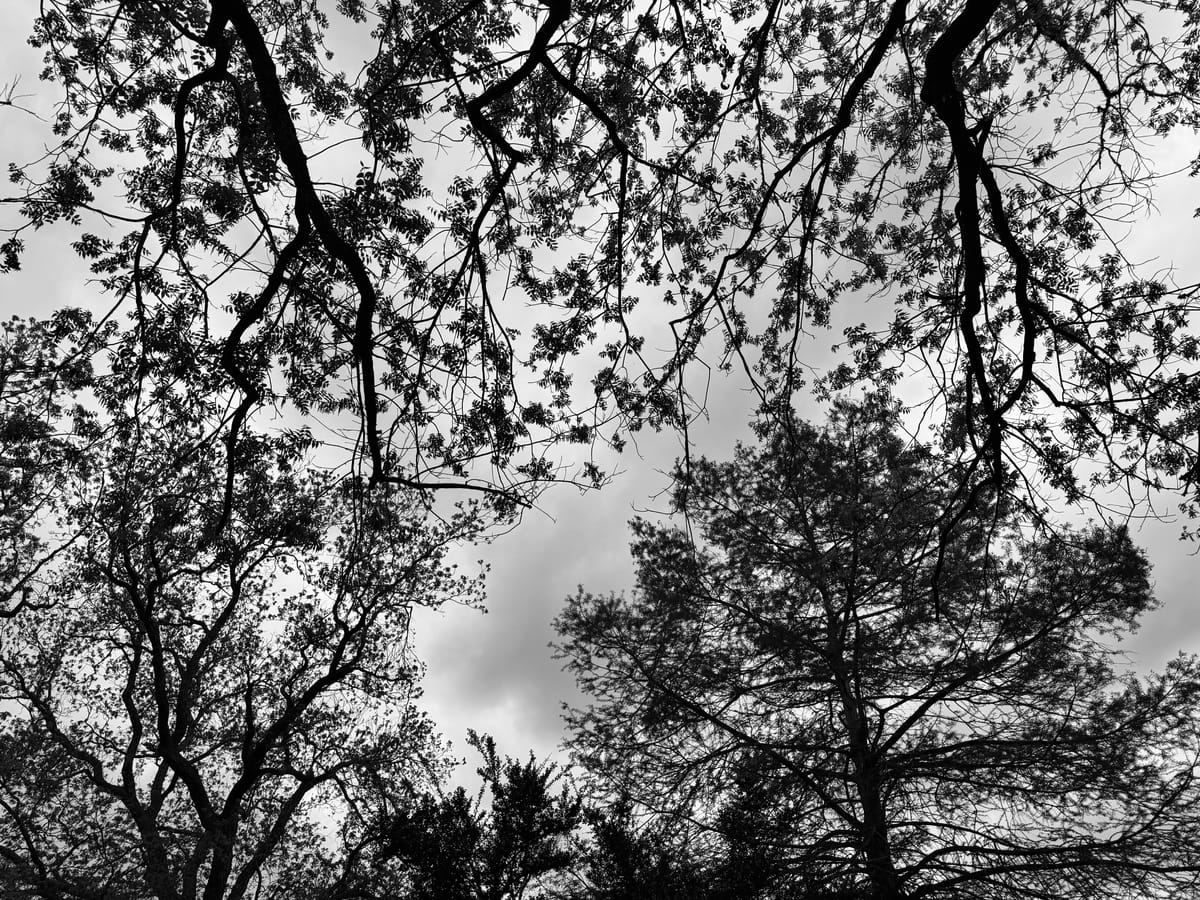 The Psychology of Easter Brunch; May Contain Eggs and Nick Miller