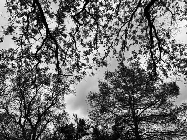 The Psychology of Easter Brunch; May Contain Eggs and Nick Miller